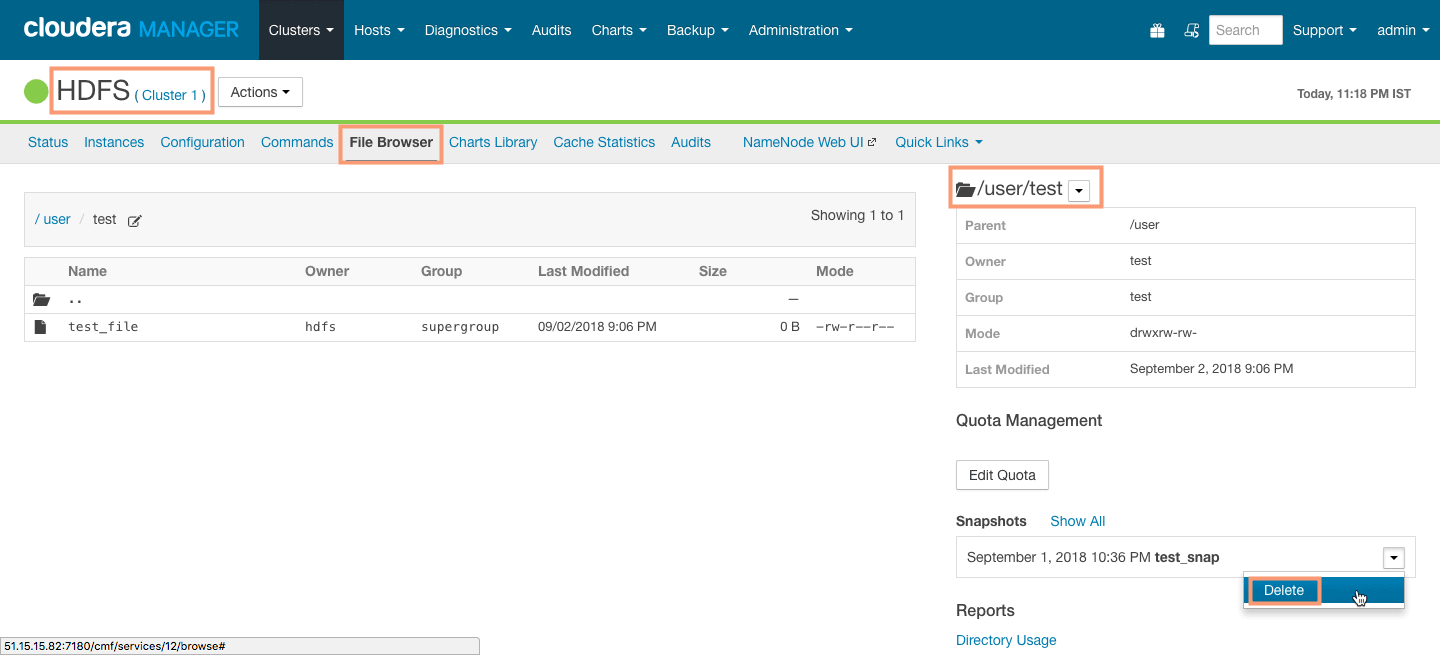 delete HDFS snapshot from Cloudera Manager CCA 131