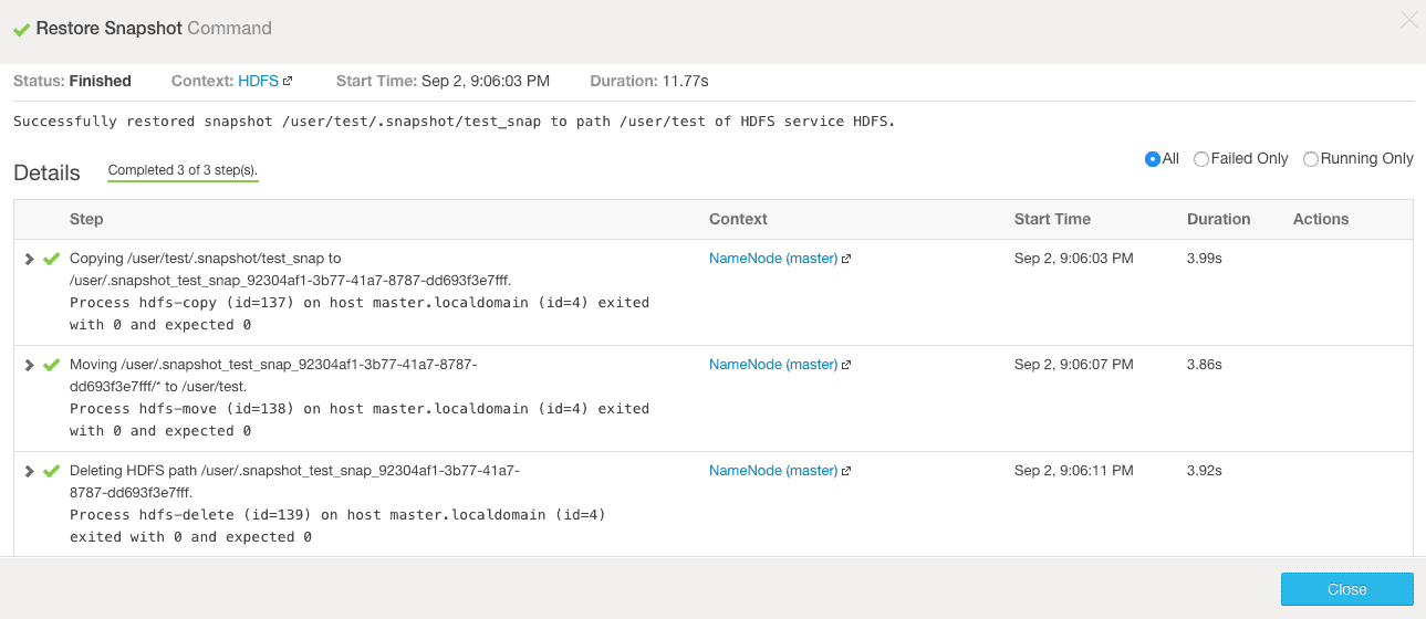 restore snapshot execution from Cloudera Manager CCA 131