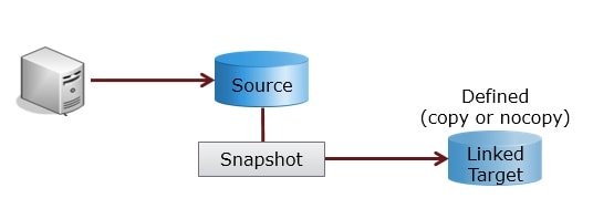 snapvx Linked Target