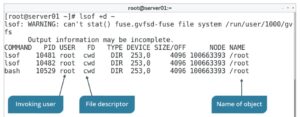 lsof Command Examples in Linux