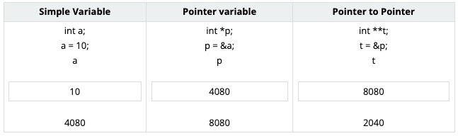 Pointer Variables in C programming