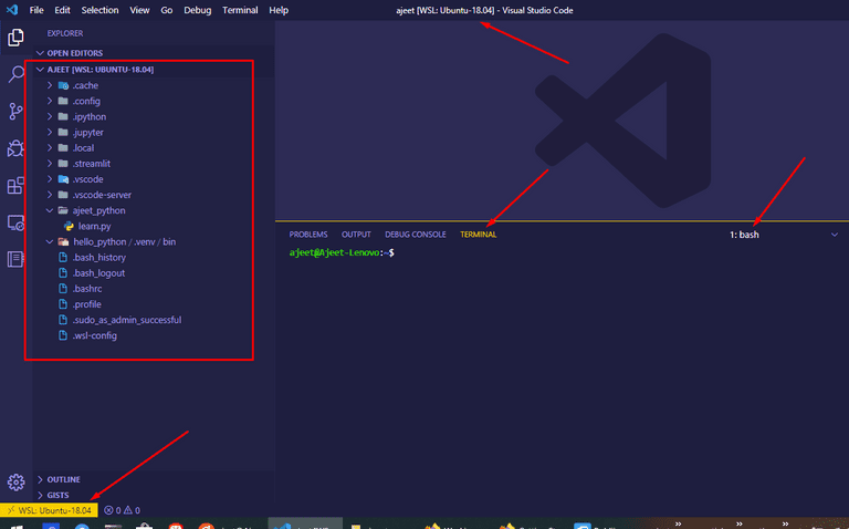 VS Code Editor View inside WSL