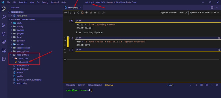 Example of a Jupyter Notebook