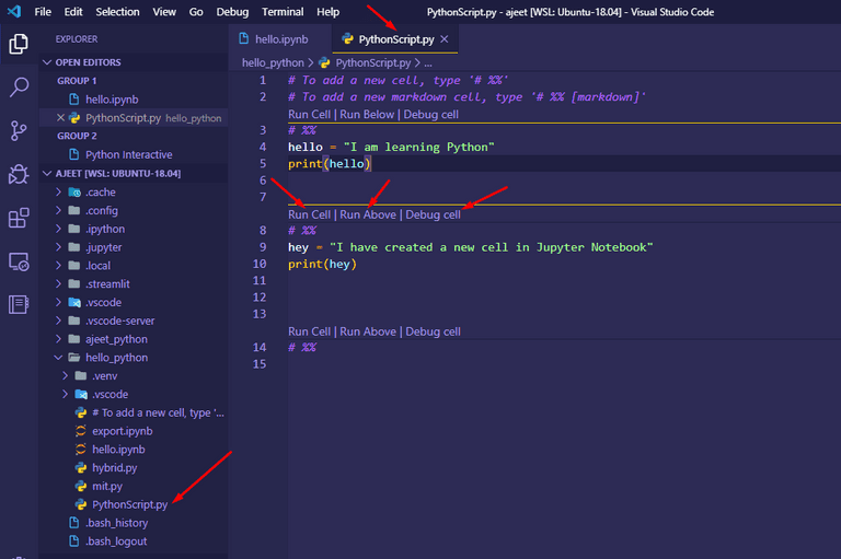 IPython View